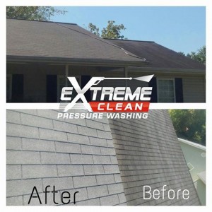 non-pressure-roof-cleaning