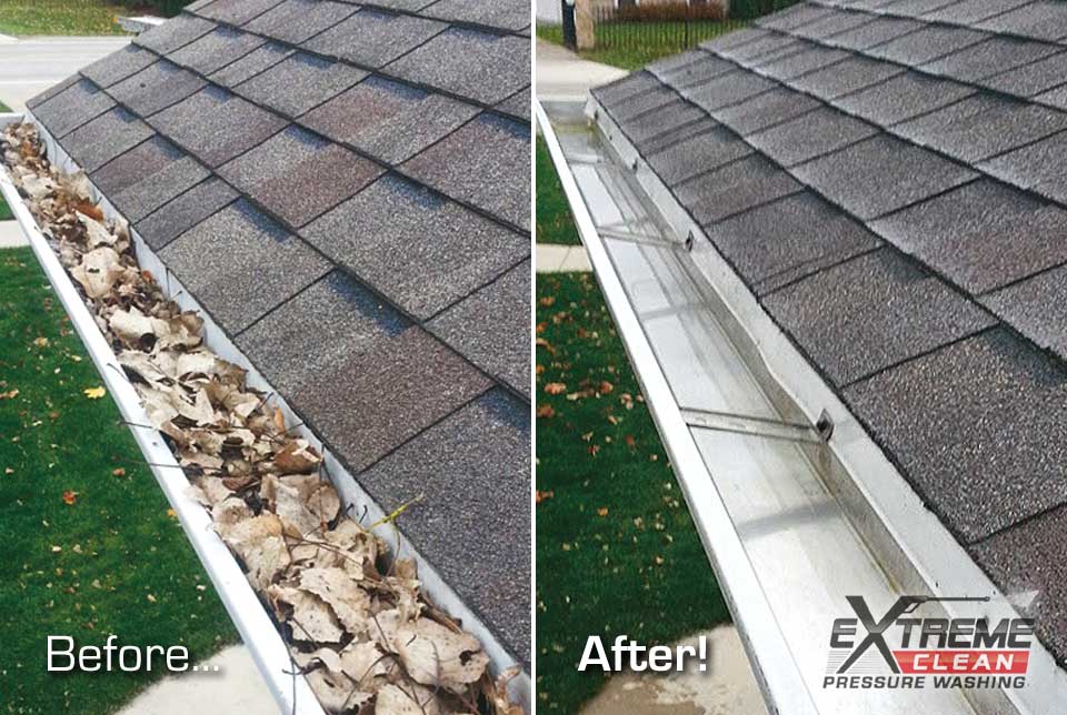 Gutter-Cleaning-Gutter-Cleanout-Leaves-Removal-Kingsport-TN-Johnson-City-TN-Bristol-TN-VA-Tri-Cities
