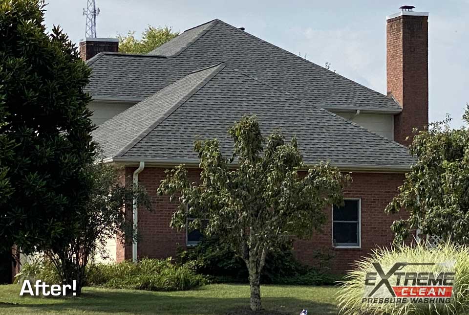 Non-Pressure-Roof-Cleaning-Roof-Stains-Removal-Kingsport-TN-Johnson-City-TN-Bristol-TN-VA-Tri-Cities-04