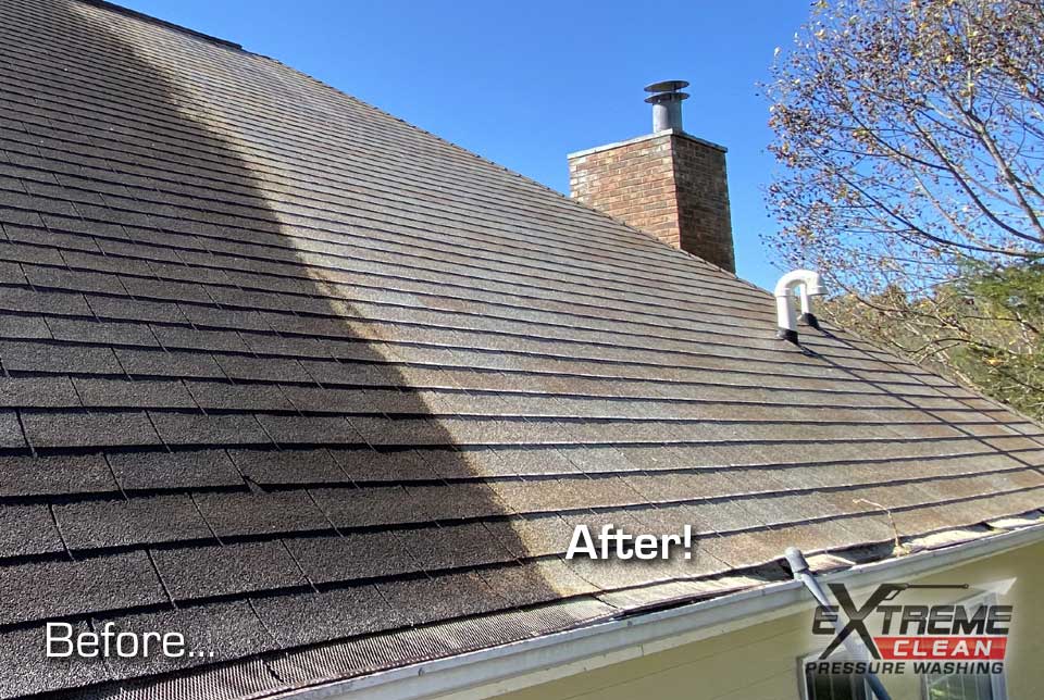Non-Pressure-Roof-Cleaning-Roof-Stains-Removal-Kingsport-TN-Johnson-City-TN-Bristol-TN-VA-Tri-Cities-10