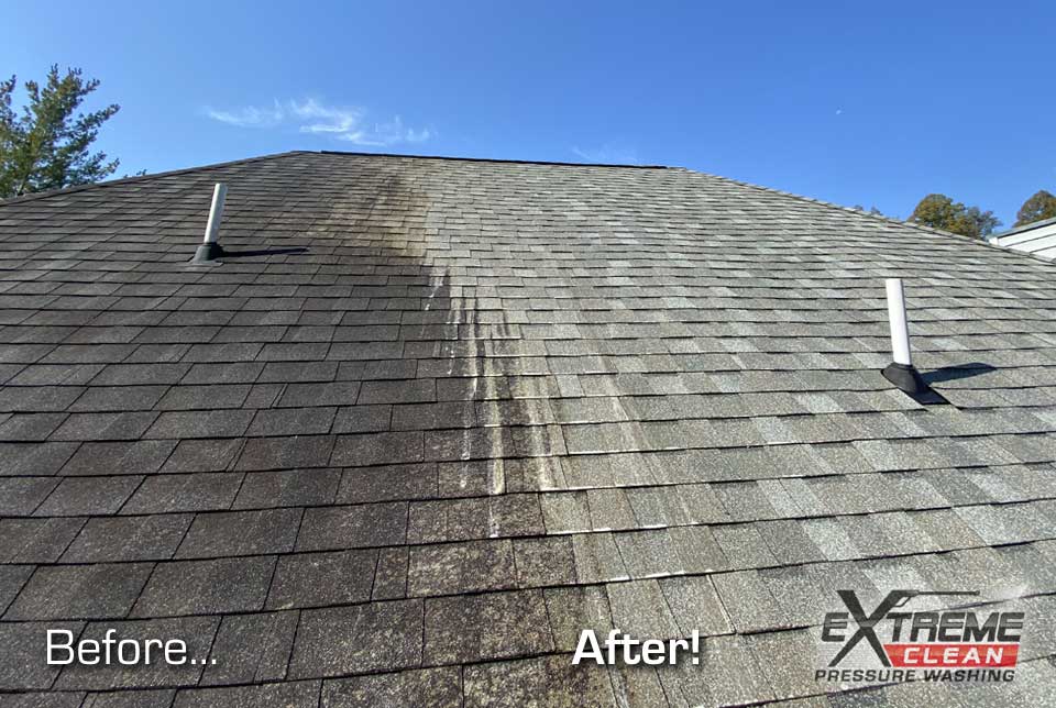 Non-Pressure-Roof-Cleaning-Roof-Stains-Removal-Kingsport-TN-Johnson-City-TN-Bristol-TN-VA-Tri-Cities-12