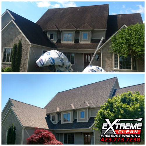 Roof Cleaning  Tennessee /                      Virginia Tri-Cities
